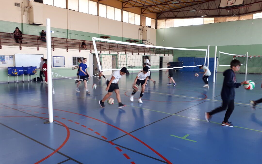 Section Volley Ball : journée de tests pour les futurs.e.s volleyeurs et volleyeuses