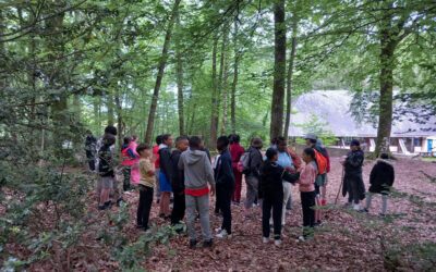 Sortie nature, vélo et course d’orientation pour les 6èmes