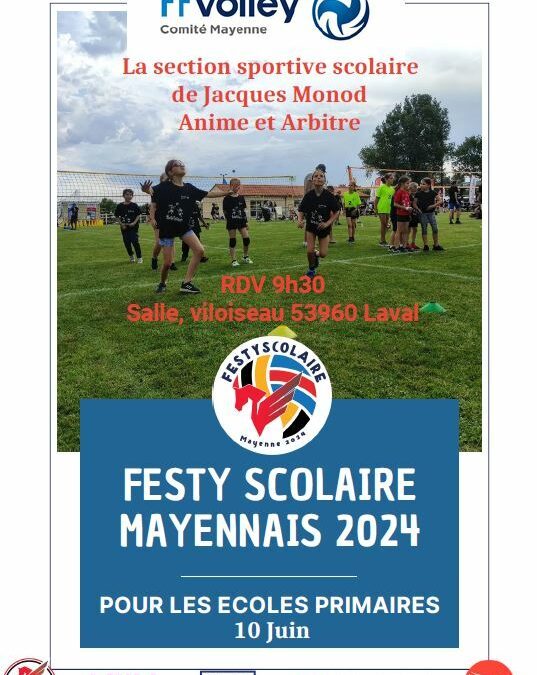 Tournoi de volley lundi 10 juin